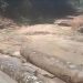 Ketua Lembaga Adat Laporkan PT PLS dan Kepala Desa Mosa Gunung Baringin Ke Kejagung RI Terkait Adanya Dugaan Alih Fungsi Hutan