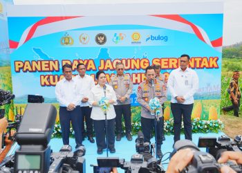 Polri Gelar Panen Raya Jagung Serentak di 36 Wilayah, Komitmen Dukung Swasembada Pangan