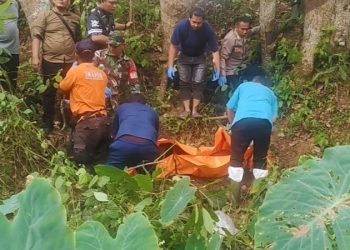 Padangsidimpuan Geger, Temuan Mayat Pria di Areal Perkebunan Dengan Leher Terjerat Tali Pinggang