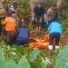 Padangsidimpuan Geger, Temuan Mayat Pria di Areal Perkebunan Dengan Leher Terjerat Tali Pinggang
