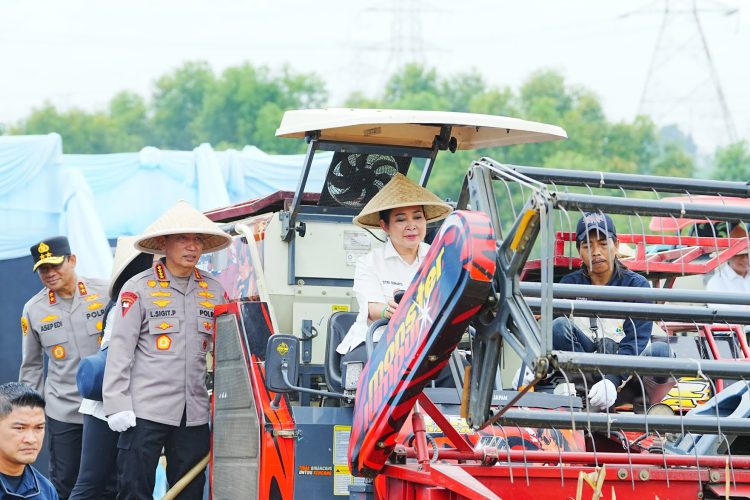Kapolri Ungkap Kontribusi Nyata Polri Dukung Swasembada Pangan: Panen Jagung 3,5 Juta Ton di 2025