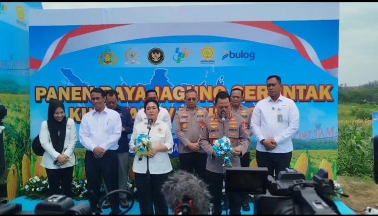 Panen Raya Jagung di Cikarang, Kapolri Tegaskan Komitmen Polri Dukung Ketahanan Pangan