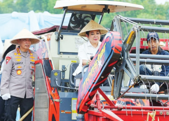 Polri Gelar Panen Raya Jagung Serentak di 36 Wilayah, Komitmen Dukung Swasembada Pangan