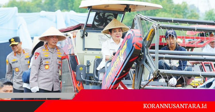 Polri Gelar Panen Raya Jagung Serentak di 36 Wilayah, Komitmen Dukung Swasembada Pangan