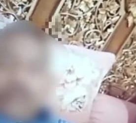 Viral di Medsos Video 30 Detik Diduga Mirip Bupati Limapuluh Kota, Klarifikasi Resmi Ditunggu