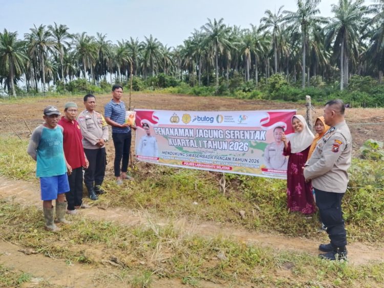 Polri Dukung Swasembada Pangan, Polsek Kotapinang Dampingi Tanam Jagung 1 Hektare di Nagodang