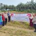 Polri Dukung Swasembada Pangan, Polsek Kotapinang Dampingi Tanam Jagung 1 Hektare di Nagodang