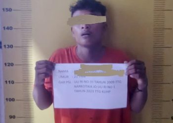 Satresnarkoba Polres Labusel Ringkus Pengedar Sabu di Kampung Bedagai, 5 Paket Diamankan