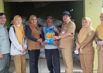 Respons Cepat Pascabanjir, Pemkab Bekasi Bantu 200 Hektare Lahan Sawah dengan Benih Padi
