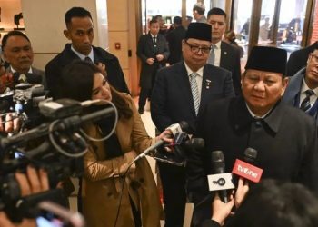 Prabowo Siap Terjunkan 8.000 TNI Jadi Pasukan ISF Jaga Perdamaian Palestina
