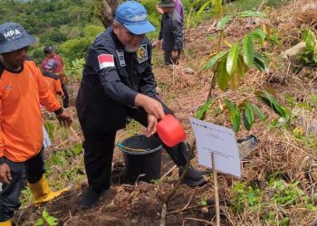 DPD RI M Nuh Serukan Masyarakat Jaga Kelestarian Danau Toba dengan Tanam Pohon