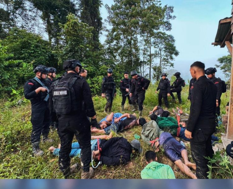 Bertambah! Polda Sumut Amankan 17 Orang dan 14 Ekskavator di Tambang Emas Ilegal Perbatasan Tapsel-Madina, Omzet 600 Juta Sehari