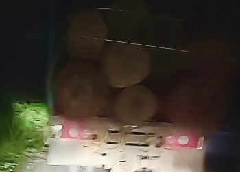 Pasca Bencana Di Sumut, Diduga Aktivitas Penebangan Kayu Masih Terjadi di Labura