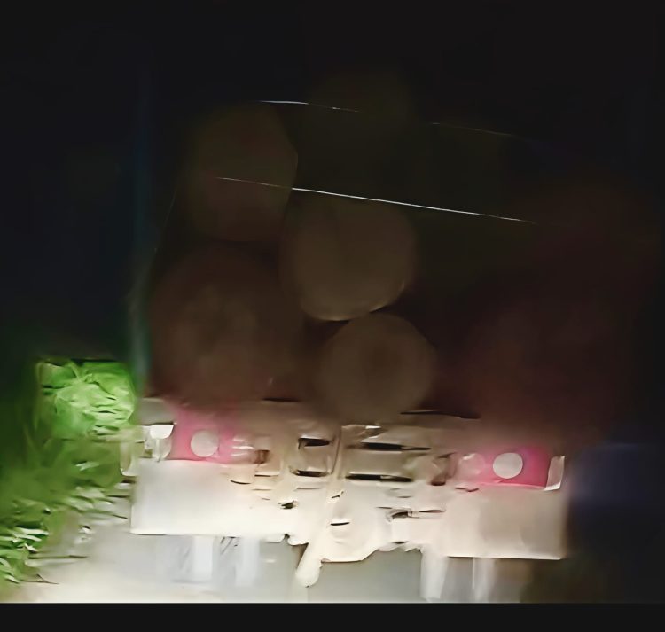 Pasca Bencana Di Sumut, Diduga Aktivitas Penebangan Kayu Masih Terjadi di Labura