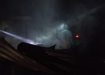 Sungai Batang Toru Kini Keruh Akibat Hilangnya Tutupan Hutan: Marpangir dan Mamasu Dahanon Terancam Hilang, Bencana Ekologis Menghantui Masyarakat