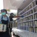 Dapur MBG Yang Ditutup Sementara Di Kabupaten Labuhanbatu, Cek Daftarnya
