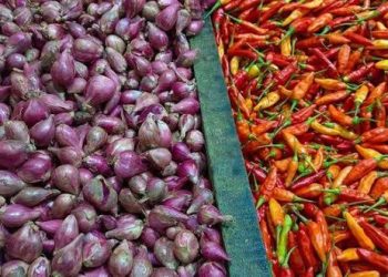 Sepekan Pasca Idhul Fitri, Harga Cabai Turun