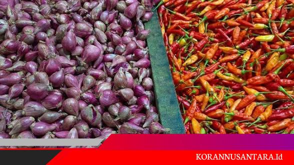 Sepekan Pasca Idhul Fitri, Harga Cabai Turun