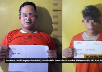 Sehari Dua Penggerebekan, Polisi Ringkus Dua Pengedar Sabu di Labusel, 3,63 Gram Diamankan