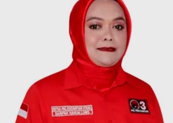 Saripah Hanum Lubis Bebas, Penetapan Status Tersangka Dinilai Tidak Sesuai Prosedur Hukum