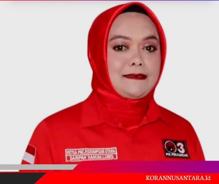 Saripah Hanum Lubis Bebas, Penetapan Status Tersangka Dinilai Tidak Sesuai Prosedur Hukum