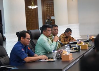 Bupati Labusel Hadiri Sosialisasi Pencabutan PBPH, Tegaskan Komitmen Penataan Hutan Berkelanjutan