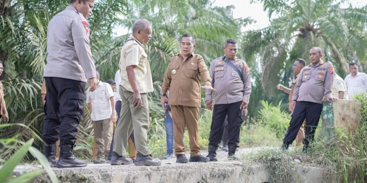 Wabup Syahdian didampingi Kapolres Labusel Tinjau Jembatan di Desa Bunut