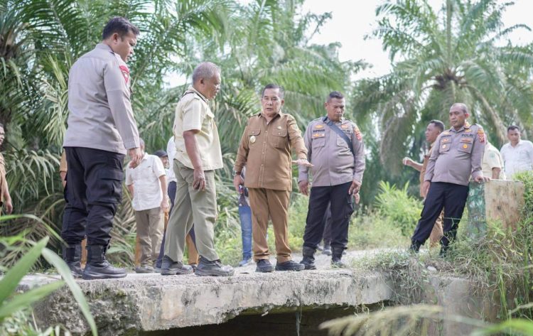 Wabup Syahdian didampingi Kapolres Labusel Tinjau Jembatan di Desa Bunut