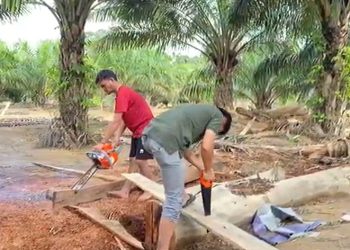 Dari Barang Bekas Jadi Cuan, Mahasiswa Universitas Aufa Royhan Dorong Pemulihan Ekonomi Desa Batuhula