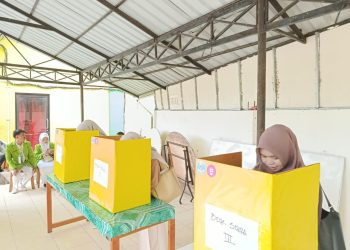 Pemira BEM Universitas Aufa Royhan Digelar, Mahasiswa Antusias Gunakan Hak Pilih