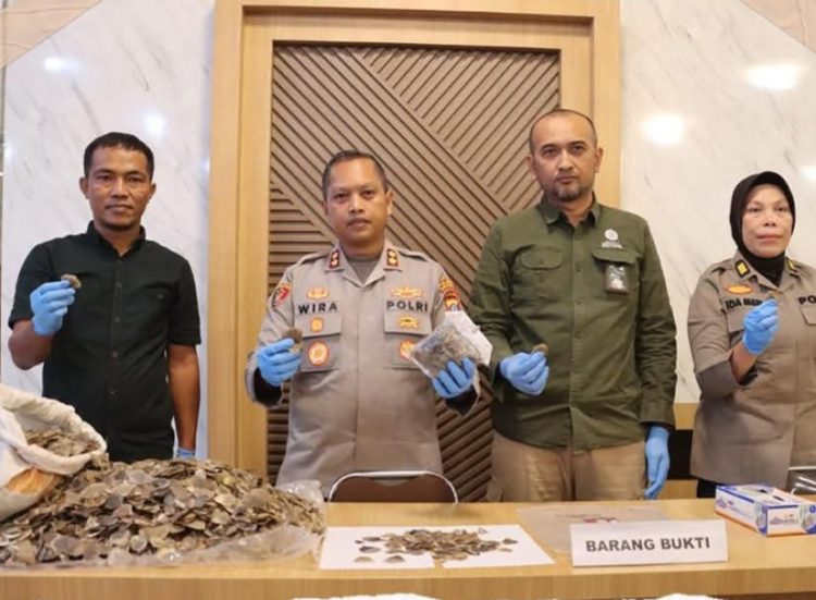 Polres Padangsidimpuan Gagalkan Perdagangan Sisik Trenggiling, Satu Tersangka Diamankan