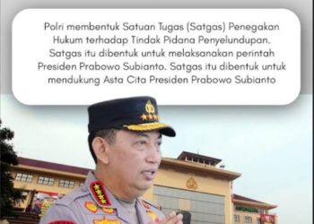 Berhasil Gagalkan Penyelundupan Bawang dan HP Ilegal, Analis Apresiasi Gercep Kapolri Bentuk Satgas