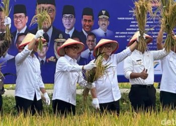 Pengamat Nilai Berita Hoaks ke Menko Zulhas Bermotif Politik, Stop Framing Sesat