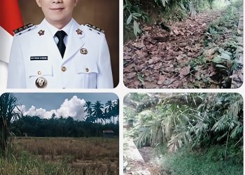 Akibat Bendungan Rusak, Petani di Sibongbong Tapsel Terancam Gagal Panen Selama Enam Bulan