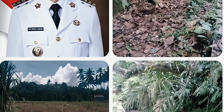 Akibat Bendungan Rusak, Petani di Sibongbong Tapsel Terancam Gagal Panen Selama Enam Bulan