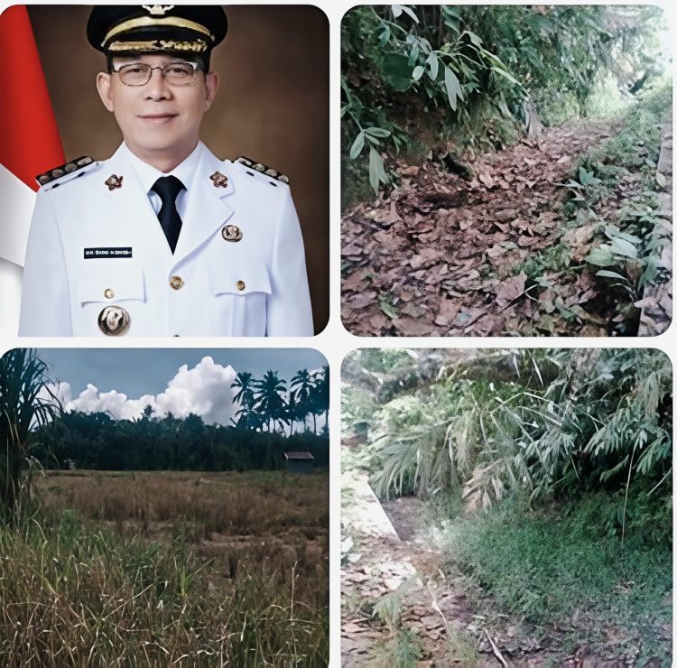Akibat Bendungan Rusak, Petani di Sibongbong Tapsel Terancam Gagal Panen Selama Enam Bulan