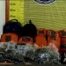 Dua Kali Temuan Ganja Tanpa Tuan, Warga Kampung Darek Curiga Ada Praktik “Tangkap Lepas”: Kalau Begini Terus, Kapan Kampung Kami Bersih?