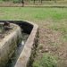 Irigasi Mati 6 Bulan, Petani Sibong-Bong Terancam Gagal Panen: Kami Hanya Butuh Air!