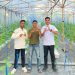 Yayasan Kumle Perkuat Ketahanan Pangan Lewat Kolaborasi Petani Muda dan Program MBG di Negeri Lama