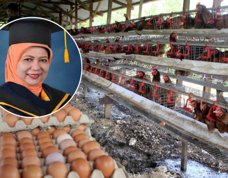 Harga Telur Anjlok: Guru Besar IPB Soroti Industri Perunggasan Tak Sehat