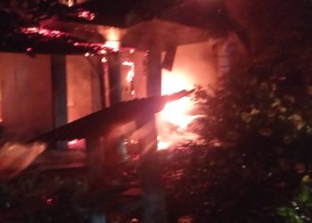 Jago Merah Hanguskan Rumah Permanen di Dusun Sialang Bujing Kerugian Ditaksir Rp250 Juta