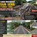 Diguyur Hujan, Dihajar Armada Sawit: Jalan Dusun Sena Berubah Jadi Kubangan Lumpur