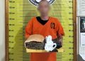 Polres Padangsidimpuan Amankan Pria 53 Tahun Bawa Ganja Kurang 1 Kg