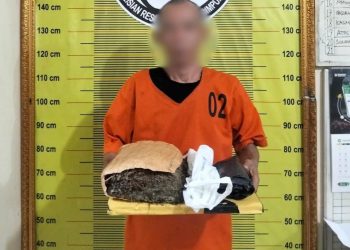 Polres Padangsidimpuan Amankan Pria 53 Tahun Bawa Ganja Kurang 1 Kg