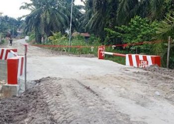 Jembatan Merah Putih Presisi di Desa Bunut Labuhanbatu Selatan Diresmikan