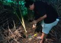Polsek Kotapinang Gelar Gerebek Sarang Narkoba di Kampung Banjar Dua