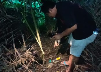 Polsek Kotapinang Gelar Gerebek Sarang Narkoba di Kampung Banjar Dua
