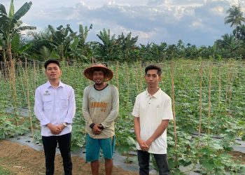 SPPG Janji Yayasan Kumle Jaya Tinjau Perkebunan Timun Petani Lokal di Bilah Barat