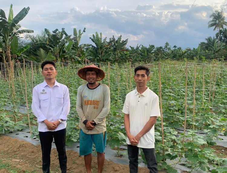 SPPG Janji Yayasan Kumle Jaya Tinjau Perkebunan Timun Petani Lokal di Bilah Barat