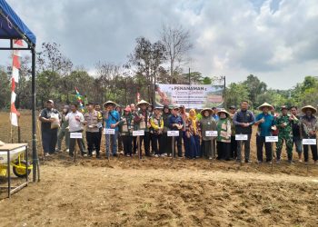 Wujudkan Ketahanan Pangan, Kelompok Tani Maju Jaya Kembali Tanam Padi